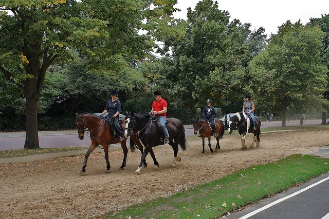 Excursiones en caballo